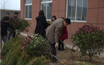 “绿色多一点、家园美一点”—成武县suncitygroup燃气公司3.12植树节活动