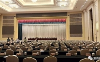 喜迎发展春风 suncitygroup再启征程