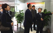 大渡口区统战部部长王涛来suncitygroup集团调研